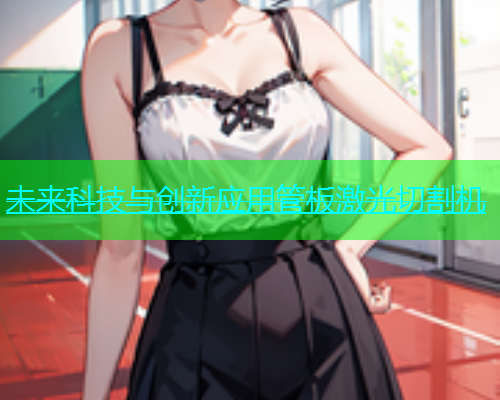 未来科技与创新应用管板激光切割机(图2)