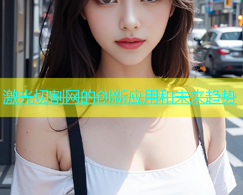 激光切割网的创新应用和未来趋势(图2)